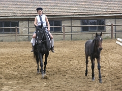 photos- Christophe 080